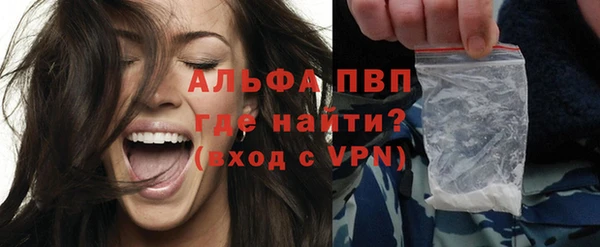 прущие грибы Гусь-Хрустальный