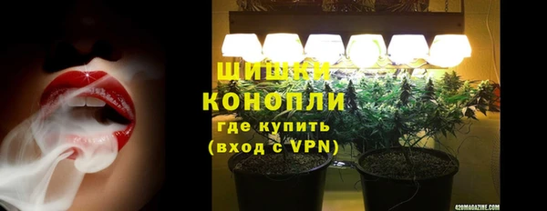 прущие грибы Гусь-Хрустальный