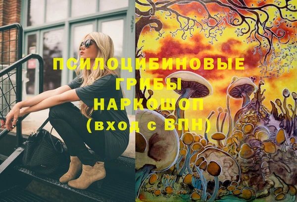 прущая мука Гусиноозёрск