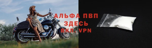 прущие грибы Гусь-Хрустальный