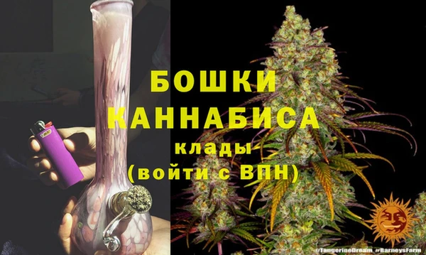 прущая мука Гусиноозёрск