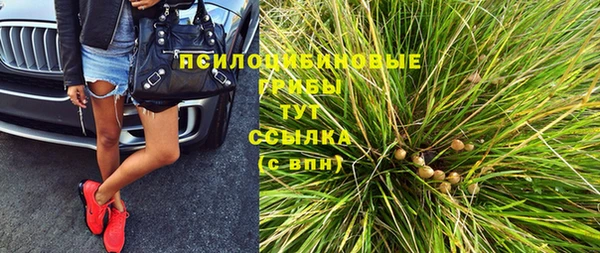 прущая мука Гусиноозёрск