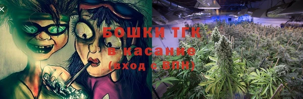 прущие грибы Гусь-Хрустальный