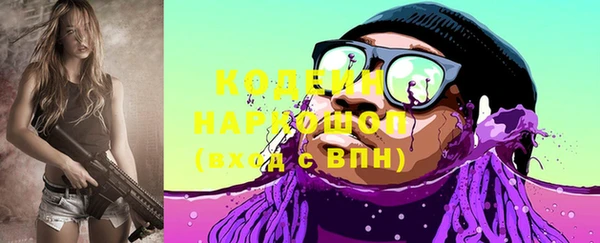 прущие грибы Гусь-Хрустальный