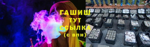 дживик Гусев