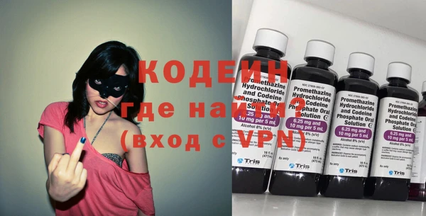 прущие грибы Гусь-Хрустальный