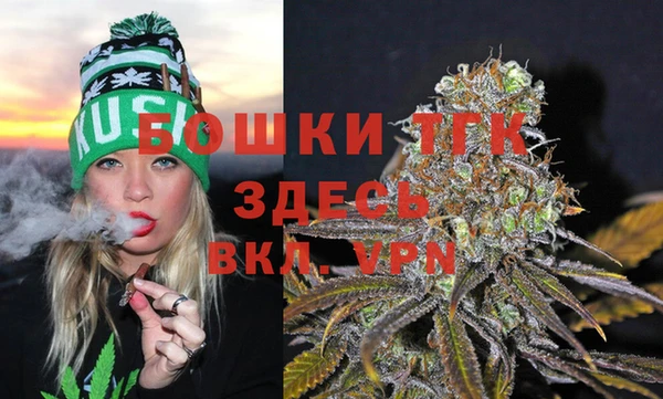 прущие грибы Гусь-Хрустальный