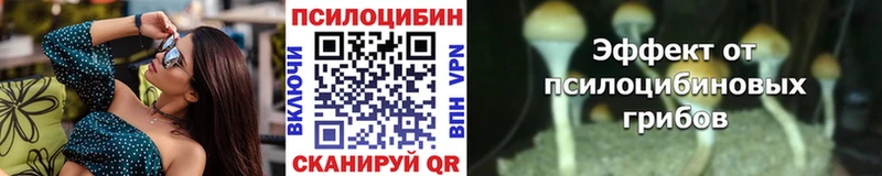 Галлюциногенные грибы Cubensis  Купить  Лакинск 